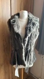 Zachte bodywarmer met echte konijnenpels, maat 40, Kleding | Dames, Ophalen of Verzenden, Zo goed als nieuw, Maat 38/40 (M)