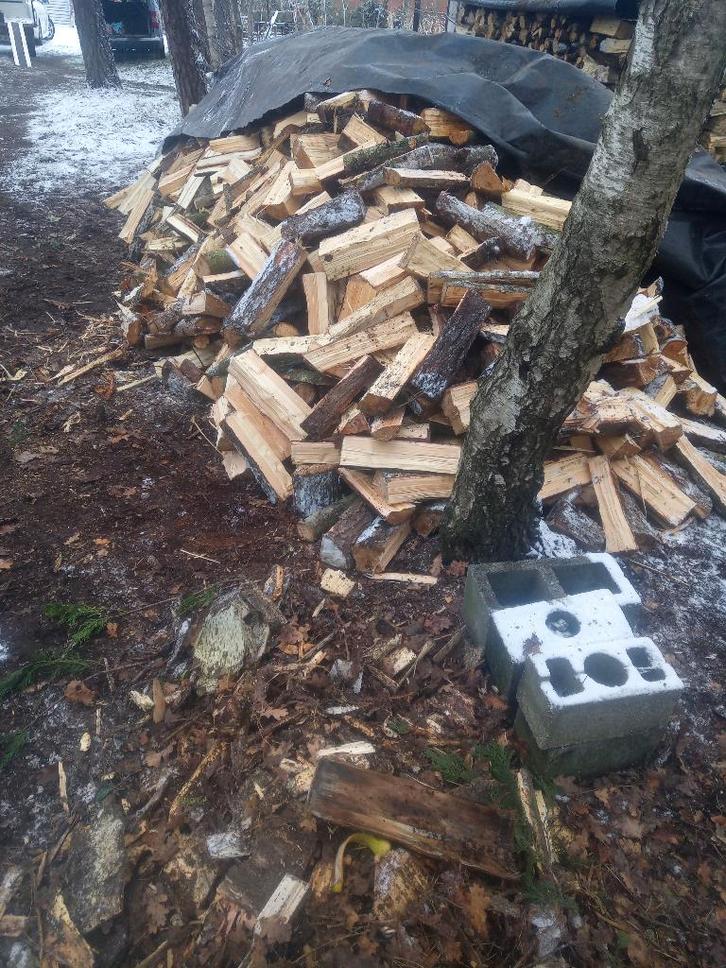 Brandhout, Jardin & Terrasse, Bois de chauffage, Bûches, Autres essences de bois, 6 m³ ou plus, Enlèvement ou Envoi