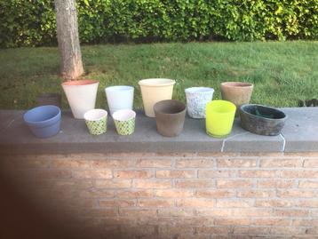 Bloempotten  beschikbaar voor biedingen