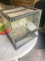 Terrarium, Animaux & Accessoires, Enlèvement, Comme neuf