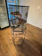 Hamsterkooi, Dieren en Toebehoren, Ophalen