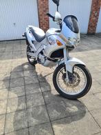 Aprilia  Pegaso 650cc, Motoren, 4 cilinders, Particulier, Meer dan 35 kW, Overig
