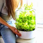 Kitchen garden, Ophalen, Zo goed als nieuw