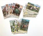 Liebig chromo’s : 3 setjes thema flora, Boeken, Ophalen of Verzenden, Zo goed als nieuw