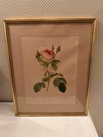 Cadre doré avec roses, Antiquités & Art, Enlèvement