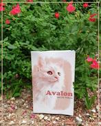 Avalon (livre sur les chats)