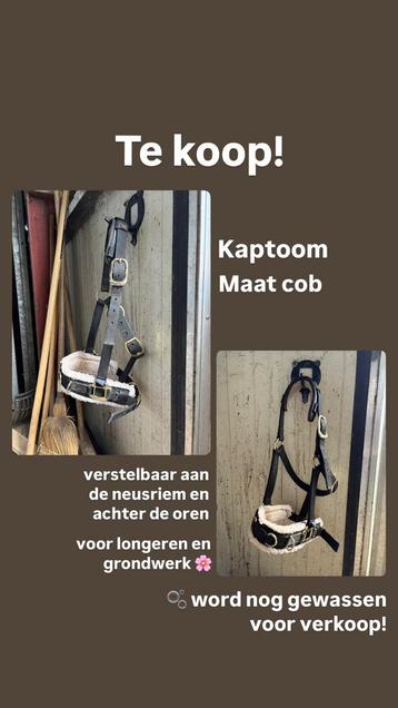 Kaptoom en bijzetteugels beschikbaar voor biedingen