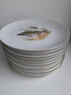 Porceleinen servies voor vis, Bord(en), Zo goed als nieuw, Ophalen