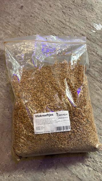 Vlokreeftjes beschikbaar voor biedingen