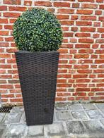 poly rotan bloempot, Tuin en Terras, Bloembakken en Plantenbakken, Ophalen, Tuin, Kunststof, Minder dan 60 cm