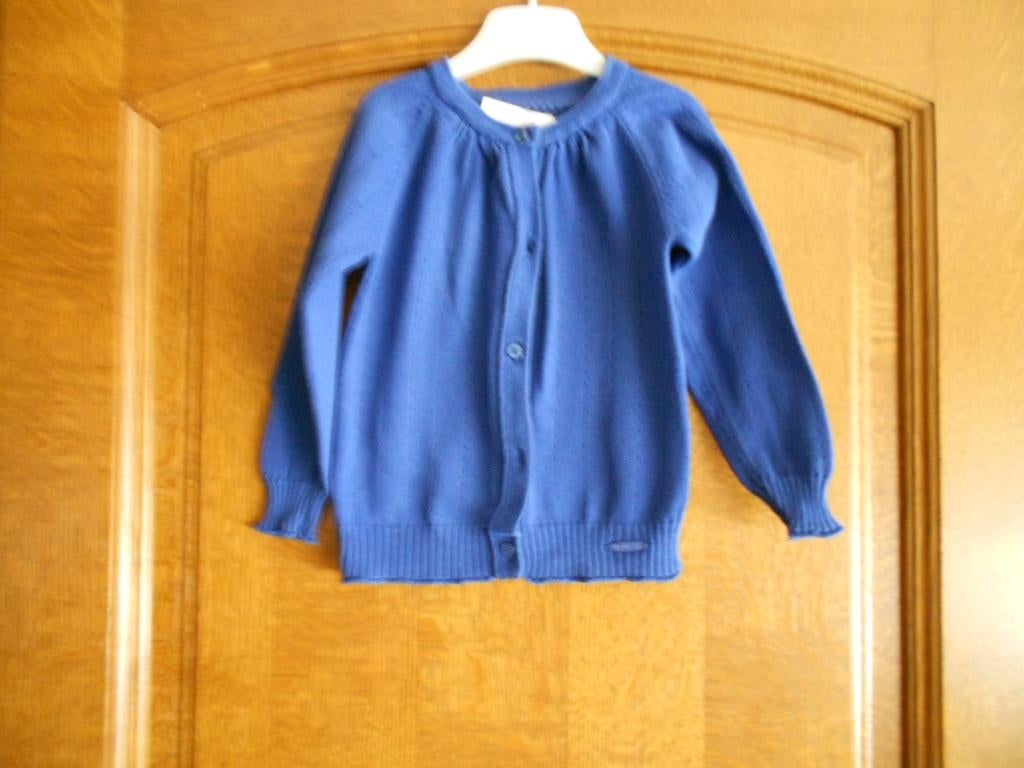 blauwe gilet ùt 98, Kinderen en Baby's, Kinderkleding | Maat 98, Gebruikt, Meisje, Trui of Vest, Ophalen of Verzenden