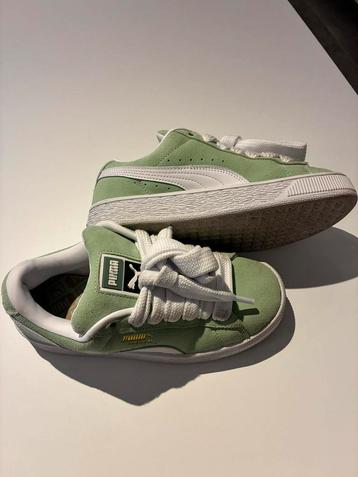 Schoenen puma maat 36 beschikbaar voor biedingen