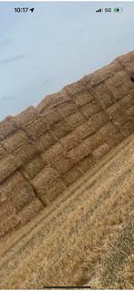 Tarwe stro te koop