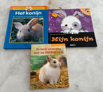 3 kinder boekjes: verzorging konijn / dwergkonijn beschikbaar voor biedingen