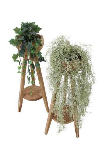 plantentafel beschikbaar voor biedingen