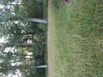 Weide te huur, Dieren en Toebehoren, Stalling en Weidegang, Stalling