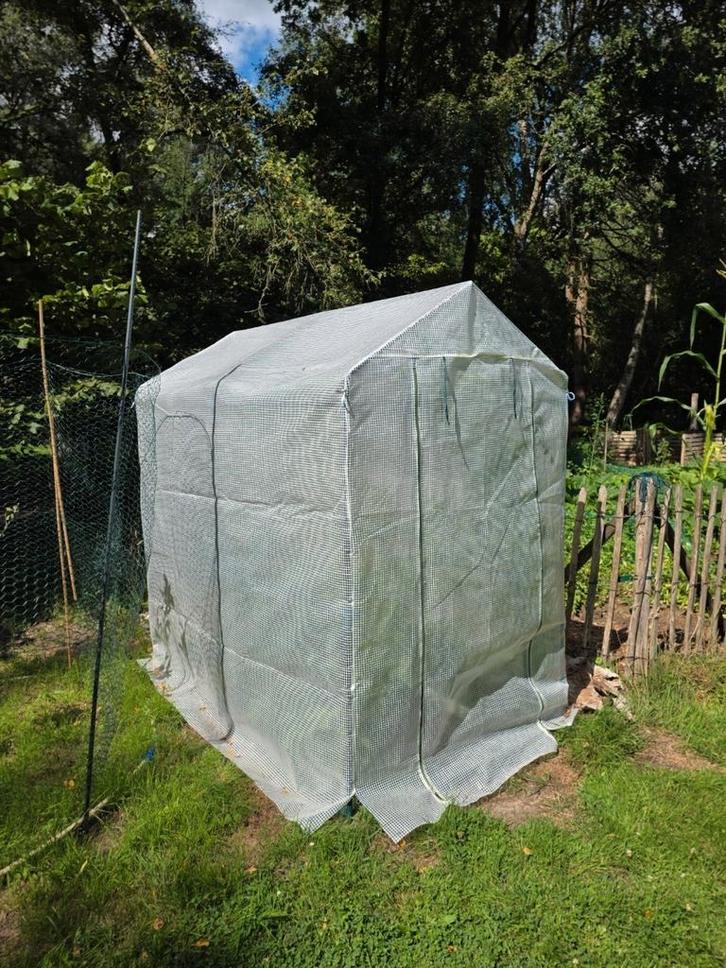 Serre/broeikas Teigen, Tuin en Terras, Kassen, Gebruikt, Ophalen