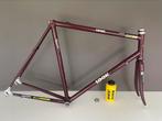 Look 176 Team frame ONCE, Fietsen en Brommers, Fietsonderdelen, Ophalen of Verzenden, Zo goed als nieuw, Frame