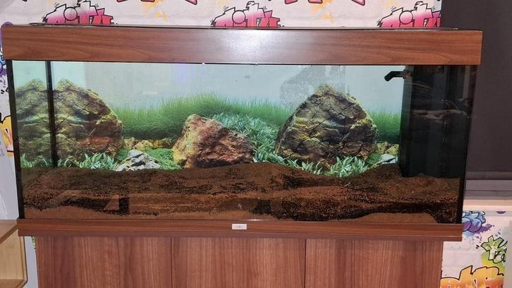 Juwel 180, Animaux & Accessoires, Poissons | Aquariums & Accessoires