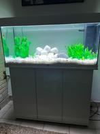 AQUARIUM GEZOCHT, Ophalen, Leeg aquarium