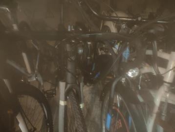 Gravelbike Starlight nieuw beschikbaar voor biedingen