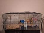 Hamsterkooi, Enlèvement, Utilisé, Cage, Hamster