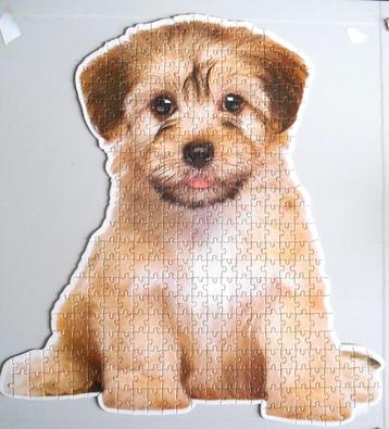 Puzzle avec un chien Shih Tzu 351 pièces
