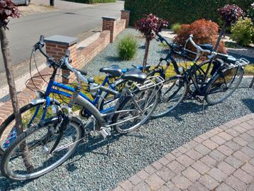 Partij fietsen. Ook appart verkrijgbaar. 0479750413 beschikbaar voor biedingen