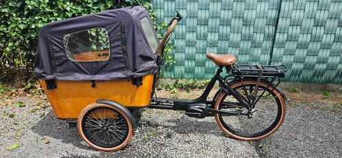 Elektrische bak fiets., Fietsen en Brommers, Fietsen | Dames | Moederfietsen, Zo goed als nieuw, Overige merken, 2 zitjes, Versnellingen
