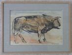 ALFONS VAN MEIRVENNE / STIER / OLIEVERF PAPIER / 52x70cm KAD, Ophalen of Verzenden