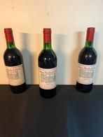 Chateau Moulin de Brion Médoc, Collections, Vins, Comme neuf, Enlèvement, Vin rouge, France