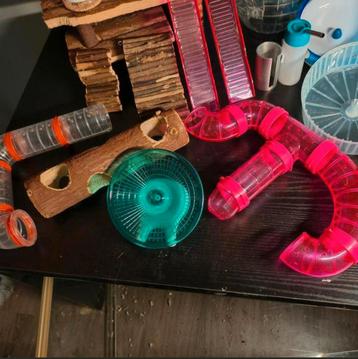 Hamster  beschikbaar voor biedingen