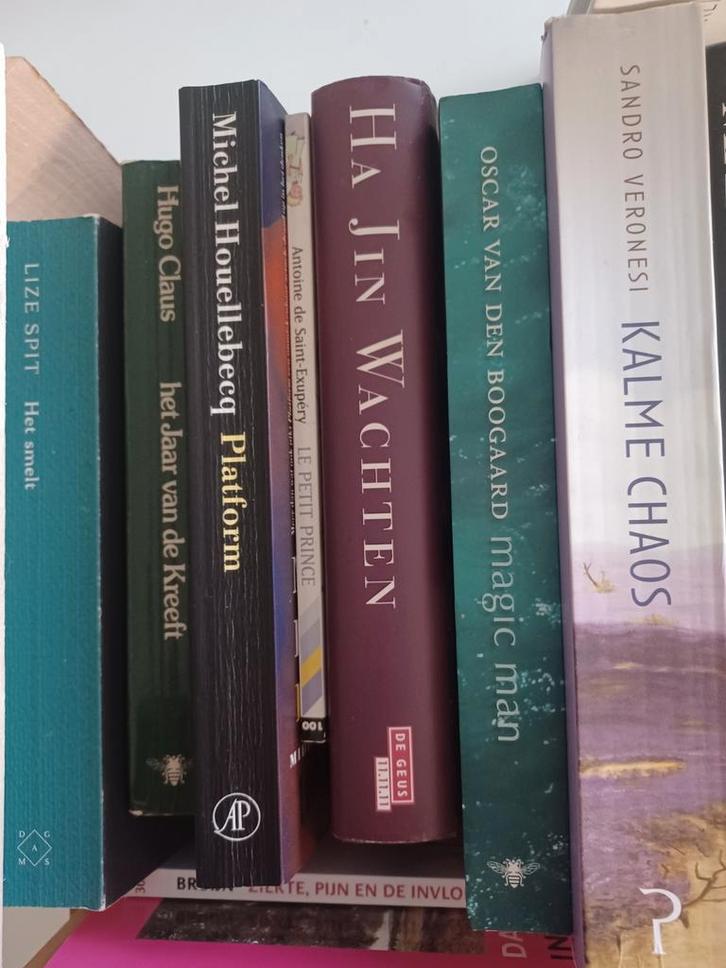 1 doos fictie en non-fictie. 32 titels!, Boeken, Romans, Gelezen, Ophalen of Verzenden