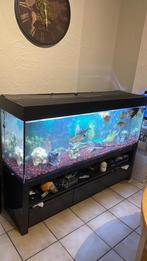 Aquarium te koop, Dieren en Toebehoren, Vissen | Aquaria en Toebehoren, Ophalen, Zo goed als nieuw