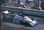 Version Tyrrell P34 Monaco à l'échelle 1:12 ! ! ! !, Neuf, Enlèvement ou Envoi, Voiture, Plus grand que 1:32