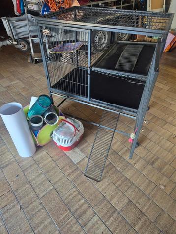 Ferret Nation kooi  beschikbaar voor biedingen