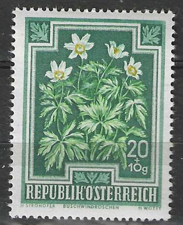 Oostenrijk 1945/1947 - Yvert 723 - Anemonen (PF) beschikbaar voor biedingen