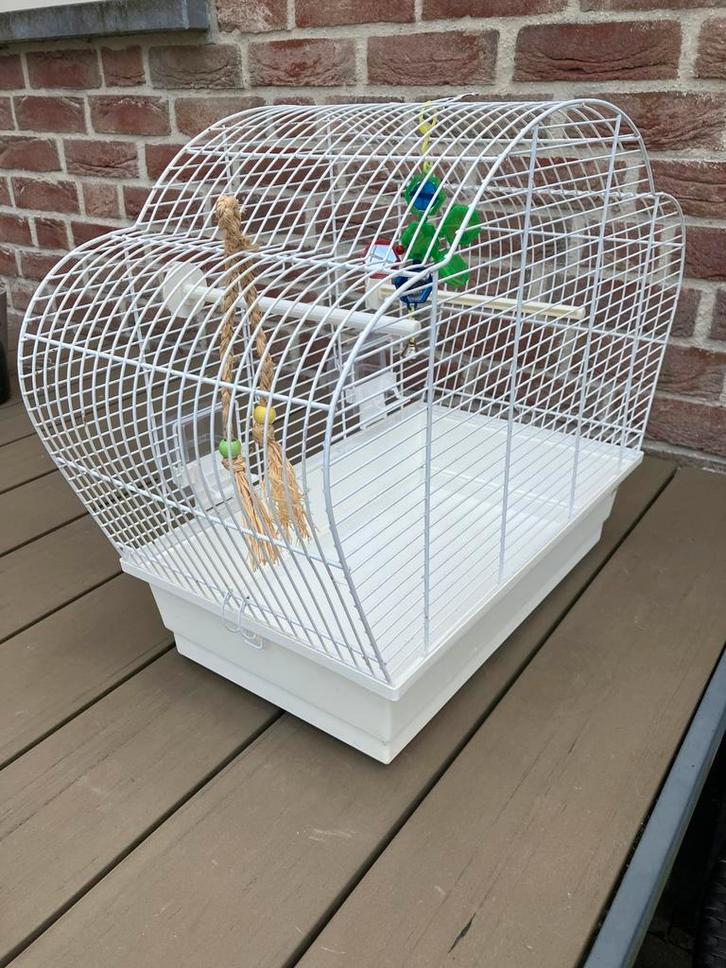 VOGELKOOI IN GOEDE STAAT MET TOEBEHOREN NU 35 EURO, Dieren en Toebehoren, Vogels | Hokken en Kooien, Zo goed als nieuw, Vogelkooi