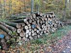 Esdoornstammen | Volle vracht | Ca. 60 stère, Tuin en Terras, Planten | Bomen, Verzenden