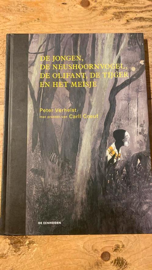 De jongen, de neushoornvogel, de olifant, de tijger en het m, Boeken, Prentenboeken en Plaatjesalbums, Zo goed als nieuw, Ophalen of Verzenden