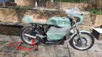 Benelli classic racer, Motoren, 250 cc, 2 cilinders, Super Sport, Particulier