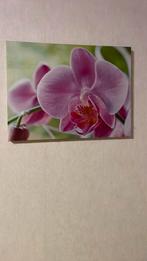 Canvas bloemen, Antiek en Kunst, Ophalen