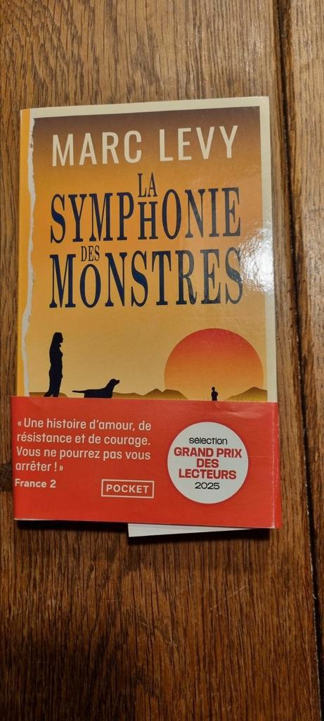 "La Symphonie des Monstres" de Marc Levy, Boeken, Romans, Zo goed als nieuw, Ophalen of Verzenden