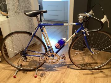 Gios Torino Record 81 beschikbaar voor biedingen