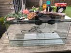 Terrarium met toebehoren (1m), Ophalen, Zo goed als nieuw, Terrarium of Paludarium