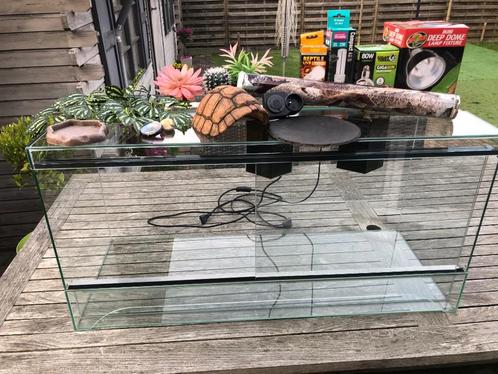 Terrarium met toebehoren (1m), Dieren en Toebehoren, Reptielen en Amfibieën | Toebehoren, Zo goed als nieuw, Terrarium of Paludarium