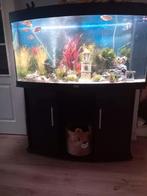 Aquarium juwel vision 260 Met ledverlichting, Dieren en Toebehoren, Ophalen