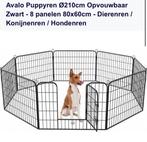Puppy ren, Dieren en Toebehoren, Ophalen of Verzenden, Zo goed als nieuw