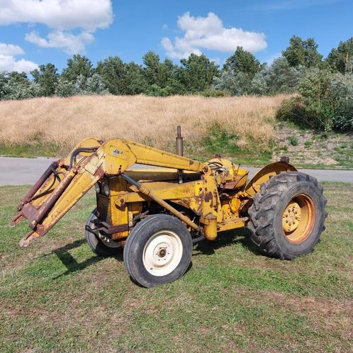 Massey Ferguson-tractor, Zakelijke goederen, Landbouw | Tractoren, Massey Ferguson, tot 80 Pk, Oldtimer, Ophalen of Verzenden