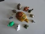 Collectie 12 schildpadden, Verzamelen, Dierenverzamelingen, Gebruikt, Ophalen of Verzenden, Reptiel of Amfibie